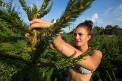 Vánoční stromky-Prostějovsko