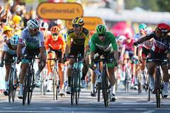 11. etapa Tour de France 2020: Wout van Aert (ve žlutém) v cíli pokřikuje na Petera Sagana (v bílém)