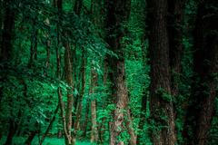 Michal Červený: fotograf cyklistiky a sportu