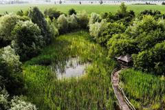 Adapterra Awards - Mokroš Mořice