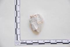 Pardědub, archeologie, nález, pazourek, paleolit