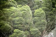 Zahraničí / Ilustrační snímek / Vichřice / Silný vítr / Orkán / Smršť / Větrná smršť / Bouře /  Počasí / Podzim