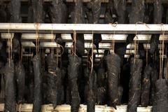 Farma Mitrovský dvůr