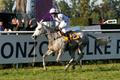 Sixteen, Velká pardubická 2007