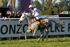 Sixteen, Velká pardubická 2007