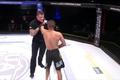 MMA, Ahmad al-Darmakí, rozhodčí Marc Goddard