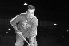 František Vaněk, hokej