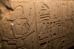 Sluneční králové výstava