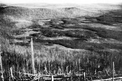 Meteorit zlikvidoval les větší než Šumava. Domorodci se o něj začali opět bát