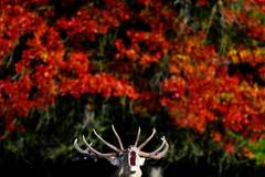 Jednorázové užití / Fotogalerie / Nechte se okouzlit krásami podzimu