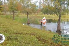 Skočil do jezírka, aby vytáhl štěně z čelistí aligátora