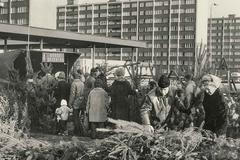 Virtuální Vánoce - Východočeské muzeum v Pardubicích