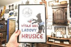 Hrusice, vesnice Josefa Lady