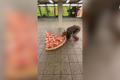 Lidí se trochu bojí, ale za tu pizzu to stojí. Newyorský pizza krysák začíná být ve městě populární
