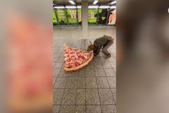 Lidí se trochu bojí, ale za tu pizzu to stojí. Newyorský pizza krysák začíná být ve městě populární