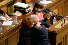 sněmovna, faltýnek, schillerová, rozpočet