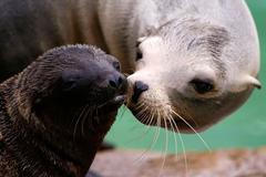 Nejlepší snímky měsíce