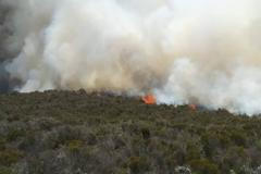 požár Kilimandžáro Tanzanie Afrika