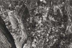 Jednorázové užití / Fotogalerie / Unikátní fotografie ze života světoznámého spisovatele Karla Čapka