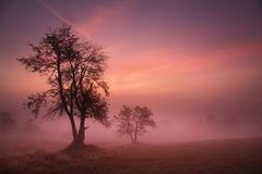 KrusneHory_PR_Poutaci