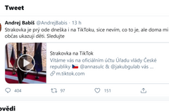 Strakovka na TikToku