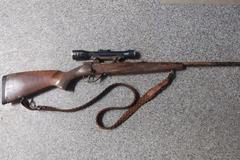 kulovnice, jelen, policie, myslivec