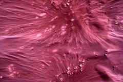 První fotky z Marsu