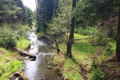 Jednorázové užití / Fotogalerie / Před 95 lety si Brdy vzala armáda, dnes je zde krásná divočina připomínající Šumavu