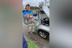 „Máte tam dvoumetrového hada“, vyděsil ženu vzkaz na autě. Pod kapotou byla opravdu krajta