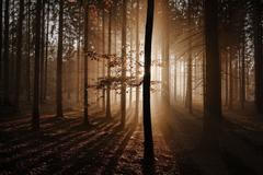 Tomáš Vocelka: Barvy českého podzimu na fotografiích