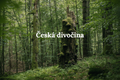 Česká divočina