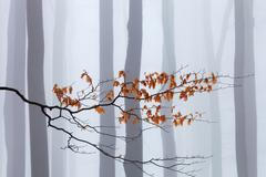 Martin Rak: photographs, ukázky z výstavy českého krajinářského fotografa