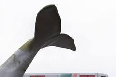 Kuriózní nehoda vlaku Rotterdam dopravního podniku RET.