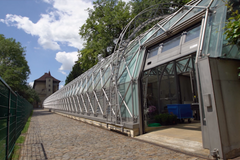 Oranžerie Pražského hradu