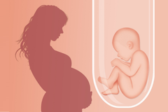 FertilityProt_Poutaci