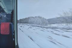 Ivana Lomová: John Doe