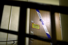 Švédka měla věznit desítky let syna. "Obdivovala naše dítě, byla milá," tvrdí o ní soused