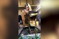 Texasanka zachraňuje včelí hnízda holýma rukama. Její video se stalo hitem