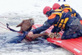 Kobylka se propadla na zamrzlém Lipně. Lidé hodinu bojovali o její život