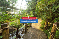 Botanická zahrada v pražské Troji, skleník Fata Morgana, květiny, pěstování, rostliny, příroda, botanik