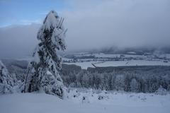 Orlické Záhoří, Orlické hory, zima, mráz, sníh