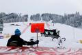 Alpine Skiing - World Cup Finals