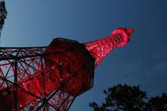 Rozsvícený petřín