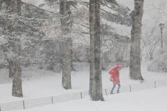 zima-sníh-mráz-kalamita-závěje-ledovka