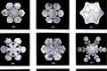 Sněhové vločky, jak je vyfotografoval Wilson "Snowflake" Bentley