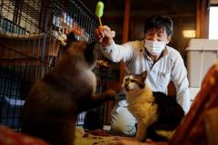 Fotogalerie / Tak pracuje spasitel opuštěných koček v japonské Fukušimě