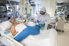 Živě: Němci varují: Česko je kovidová bomba! Selhal Trump? A Geislerová o Boženě, sledujte DVTV