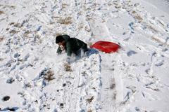 Sáňkování Jižní Korea