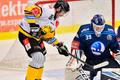 Filip Helt z Litvínova a brankář Plzně Dominik Pavlát v zápase 43. kola hokejové extraligy