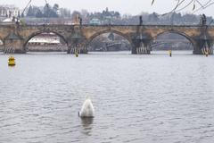 Ilustrační foto - zima, sníh, počasí, podzim, Karlův most